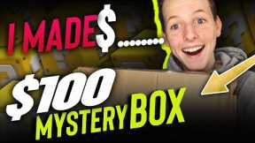 I Spent $100 On An Amazon Mystery Box And Made $___