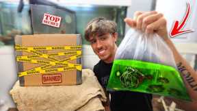 I BOUGHT A MYSTERY BOX OFF THE DARK WEB ! (Terrible Idea)