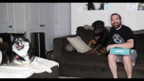 PUPJOY September 2022 | Unboxing