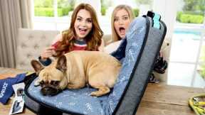 NEW Amazing Dog Travel Bed! 🐶 Unboxing with Rosanna!