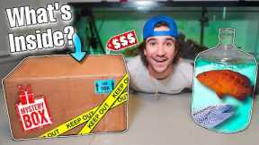 UNBOXING MYSTERY FISH BOX BOUGHT OFF THE WEB... (what's inside?)