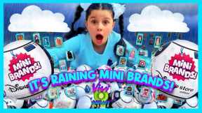 DISNEY MINI BRANDS KID UNBOXING TOY REVIEW PRINCESS MARVEL AVENGERS SUPER HEROS TINY FOODS STAR WARS