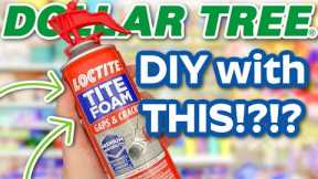 SHOCKING Dollar Tree DIYS (Mystery Box Challenge!)