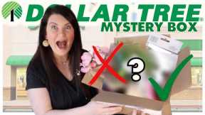 Everyone will be making these EASY Dollar Tree Decor DIYS | Mystery Box Challenge
