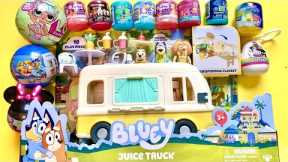 ASMR BLUEY toys DISNEY JR MYSTERY SURPRISES Satisfying Unboxing NO Talking Video