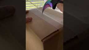 Unboxing CupHead Collectors Edition!