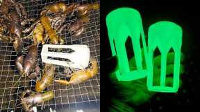Unbelievable Yabbying Haul: I Caught 78 Yabbies in 1 Check