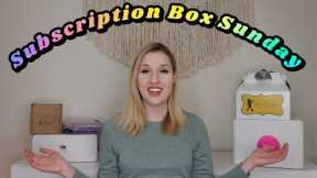 Subscription Box Sunday | Vol. 4 January 2024