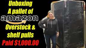 Unboxing a $1,000.00 Pallet of Amazon Overstock and Shelf Pulls - I never know what I will Get!!!
