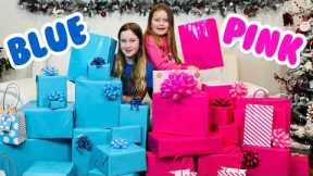 PINK and BLUE Gifts Challenge with Sisters Play Toys
