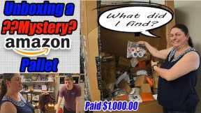 Unboxing an amazon mystery pallet. What did I find? Some of the strangest items are in this box!