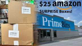 WORTH IT?  2 for $25 Amazon Bins Mystery Box Unboxing | Miss Hazel Fanatic Gets REALLY Excited