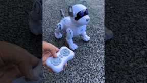 Big Remote control Dog unboxing | Rc Intelligent stunt dog 🐕 40 dollar invest