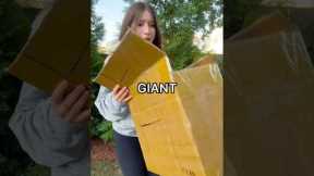 Unboxing a GIANT MYSTERY BOX! 😱😳📦 *$100 haul*