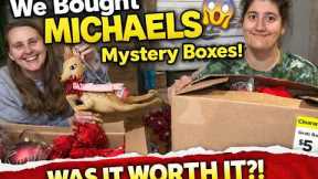 We Bought MICHAELS Mystery Boxes… Was It Worth It?! | Huge Haul & Surprises!