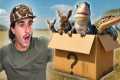 Buying The Creepiest Live Animal Box
